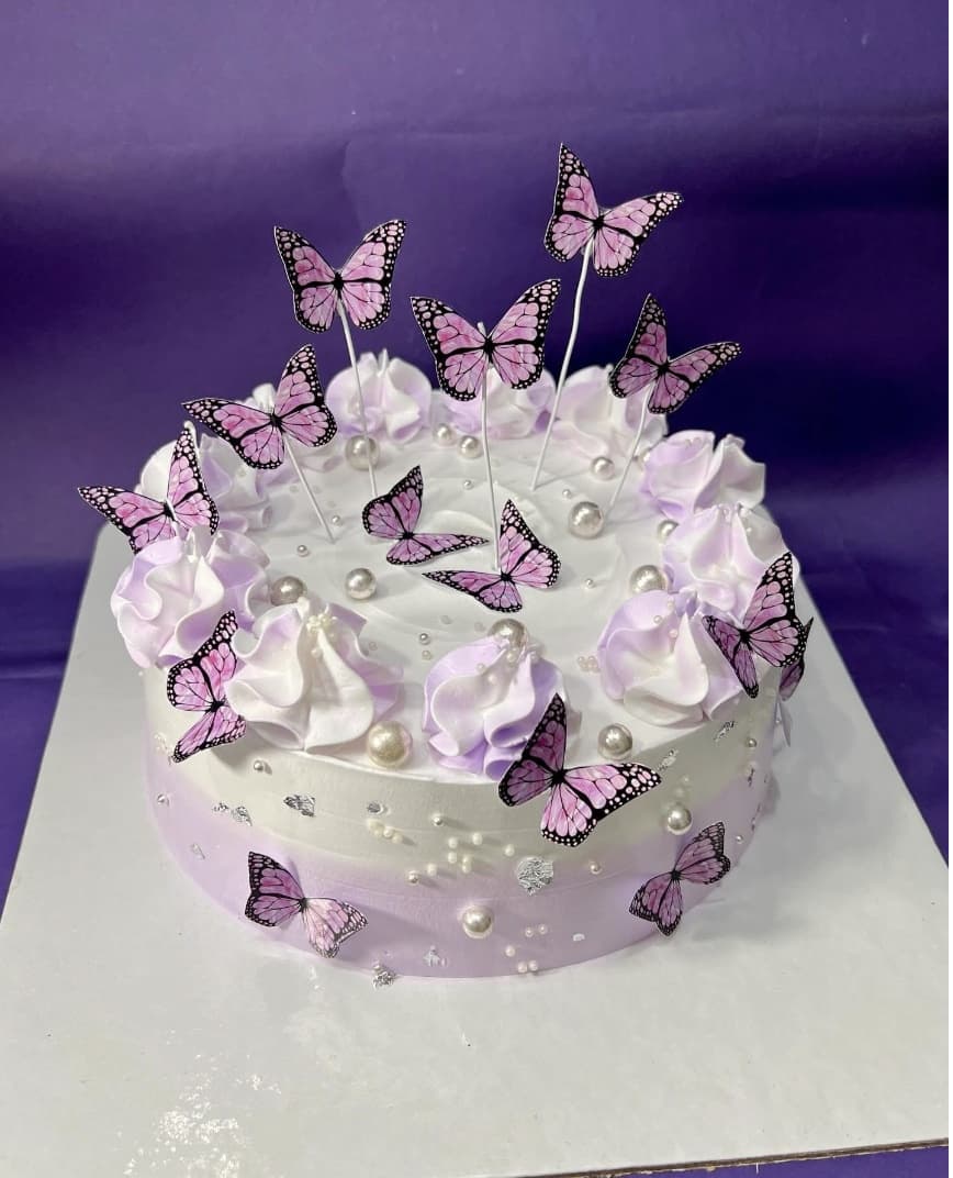 Elegant Butterfly 1